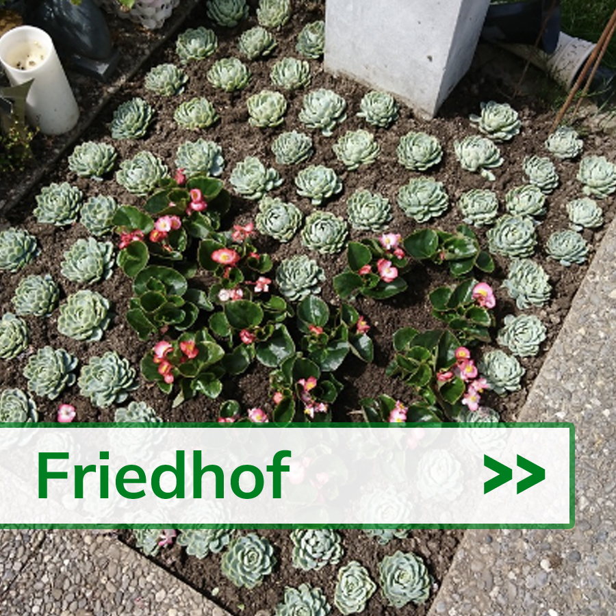Friedhof - Bütikofer Blumen + Gartenbau AG - Rüdtligen-Alchenflüh 