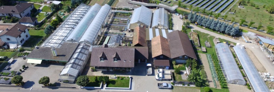 Blumen + Gartenbau Bütikofer AG, Spezialist für Gartenbau - Gärtnerei - Floristik - Friedhof, Aussenansicht in Rüdtligen-Alchenflüh - Kanton Bern (BE)